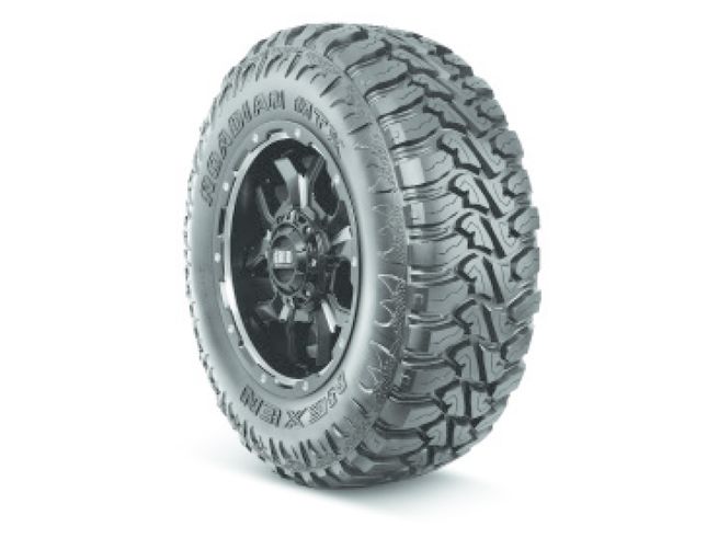 NEXEN TIRE AMERICA - ROADIAN MTX