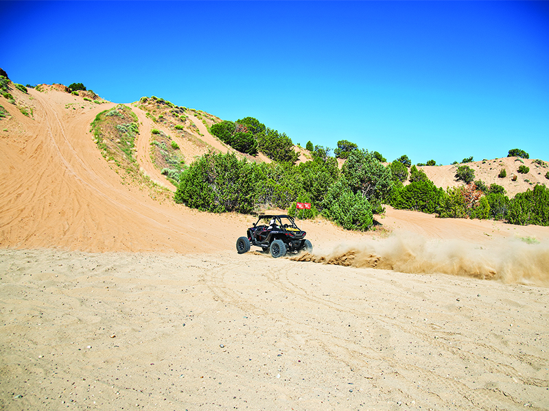 dunedriving3 (1)