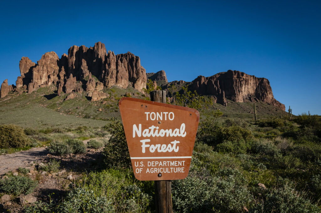 Tonto National Forest